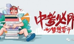 深圳大白爆料最新消息,最新动态揭秘，不容错过的热点资讯