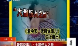 沈阳精彩爆料新闻报道最新,最新爆料揭露惊人真相！