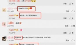新瓜最新爆料ppt,热点事件背后的真相与内幕