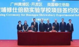 黄埔最新爆料,揭秘神秘项目，行业变革即将到来！