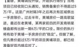 黄埔最新爆料,揭秘神秘项目，行业变革即将到来！