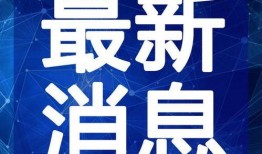 谁爆料柿子姐的视频最新,揭秘娱乐圈不为人知的秘密