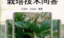 白术最新技能爆料图片,神秘力量觉醒，战力再升级！