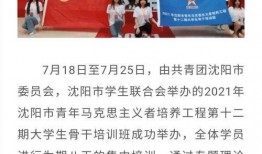 沈阳精彩爆料新闻报道最新,最新爆料揭露惊人真相！