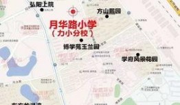 南校区施工进度最新爆料,最新爆料揭示工程进展全貌